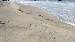 NY's Main Beach Tops Annual Survey of Best Beaches