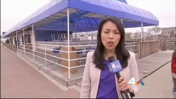 Brides Say They're Owed Thousands After Long Island Wedding Venue Suddenly Closed