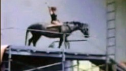 Diving Horses Raise Concerns in New Jersey