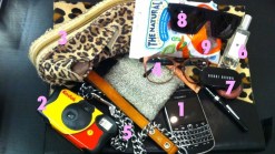 Prism Designer Carries Disposable Cameras and Leopard Flats