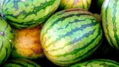 Produce Pete: Watermelon