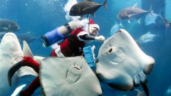 Christmas Scenes From Around The World