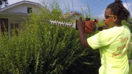 Free Lawn Care Inspires Community