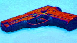 Boy Hired Friend to Kill His Own Family: Police