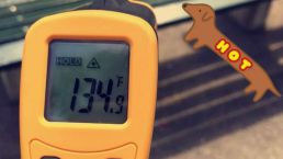 Blistering! Heat Wave Makes Central Park Sizzle