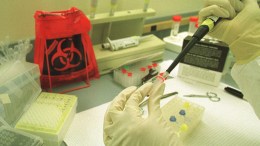 Corrupt Medical Lab Boss: Hundreds of Docs Accepted Bribes