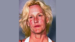 Erin_Brockovich1