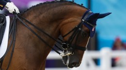 Ann Romney Pleased with Rafalca's 'Fabulous' Ride