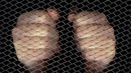 Woman Slams DISD With New Cage Fight Allegation