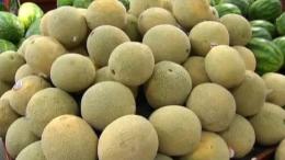 Recalls Spark Food Safety Concerns