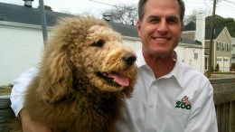 No Lion, He's A Dog