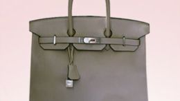 Want a Free Birkin Bag?