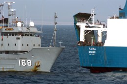 Piracy Hits Close to Home