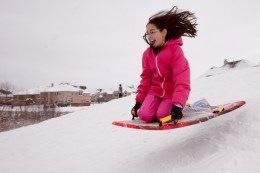 Friday Snow Photos - Gallery III