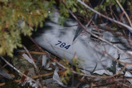 9/11 Experts Join Efforts to ID Upstate Crash Victims