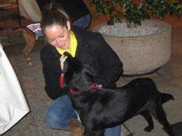 NitePics: Canines and Their Companions at Lucky Dog's Fundraiser