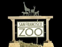 SJ Family Settles With SF Zoo Over Tiger Attack