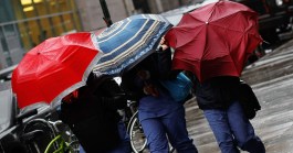 High Winds Rip Through Region 
