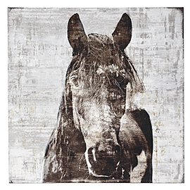 For Dad: Winter Stallion Print