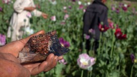 Afghan Drug Trade Persists as U.S Nears Exit