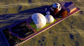 A Pod Grows In Brooklyn