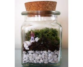 Le Petit Singularite’s Terrarium Kit 