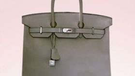 Want a Free Birkin Bag?