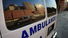 Flying Squirrel Invades NJ Emergency Room