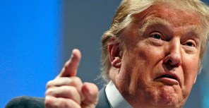Donald Trump — and His Hair — Weigh in on Key Questions