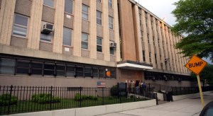 Swine Flu in Queens
