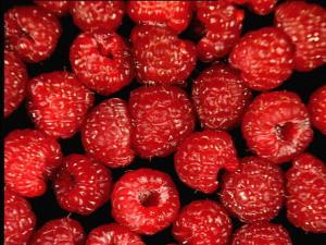 Healthy Holidays: Raspberry-Chocolate Thumbprint Cookies 