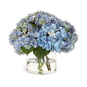 Diane James’ Hydrangeas