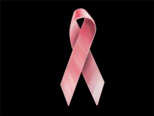 Leave Politics Out of the Mammogram Battle 