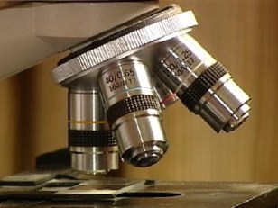 IVF Controversy