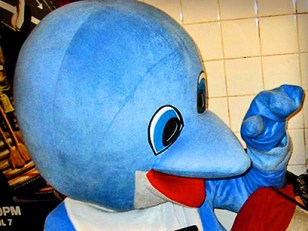 Dolphin Deals Fake Crack in Brooklyn