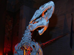 Night at the Museum (For Real)