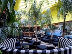 Cafe des Artistes' Possible Comeback, More!