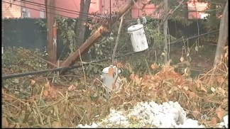Dangerous Live Wires After the Storm