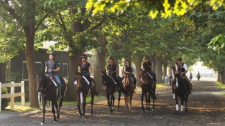 A Look at the Belmont Stakes