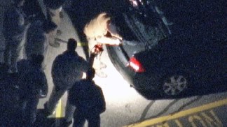 Authorities Retrieve Rifle from Trunk at Shooting Scene