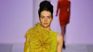 Feathers for Spring