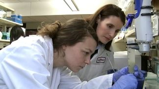 Probing The Blood Brain Barrier