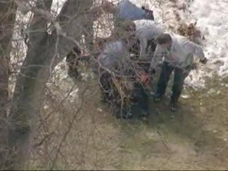 Black Bear Captured in Wayne
