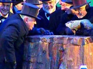 Punxsutawney Phil Makes His  Prediction