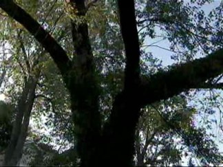 Tornado Victims Seek Help