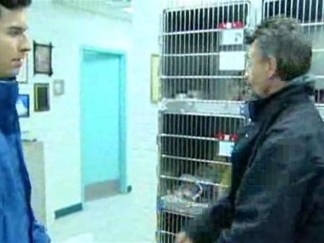 Newark Animal Shelter Collects Violations