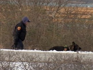 Four Bodies Found In Suffolk As Search Continues