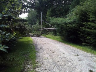 Your Storm Photos, July 21