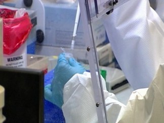 City Releases Guidelines for Swine Flu