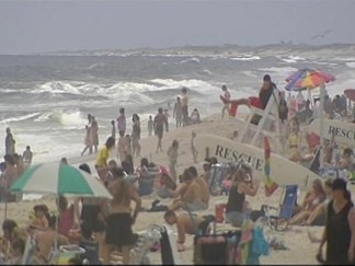 Shark Sighting on the Jersey Shore